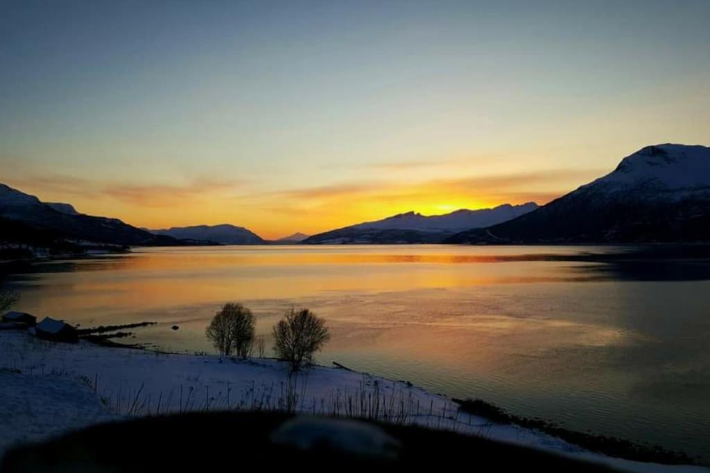 Norwegian Dream Appartement Gratangen Buitenkant foto